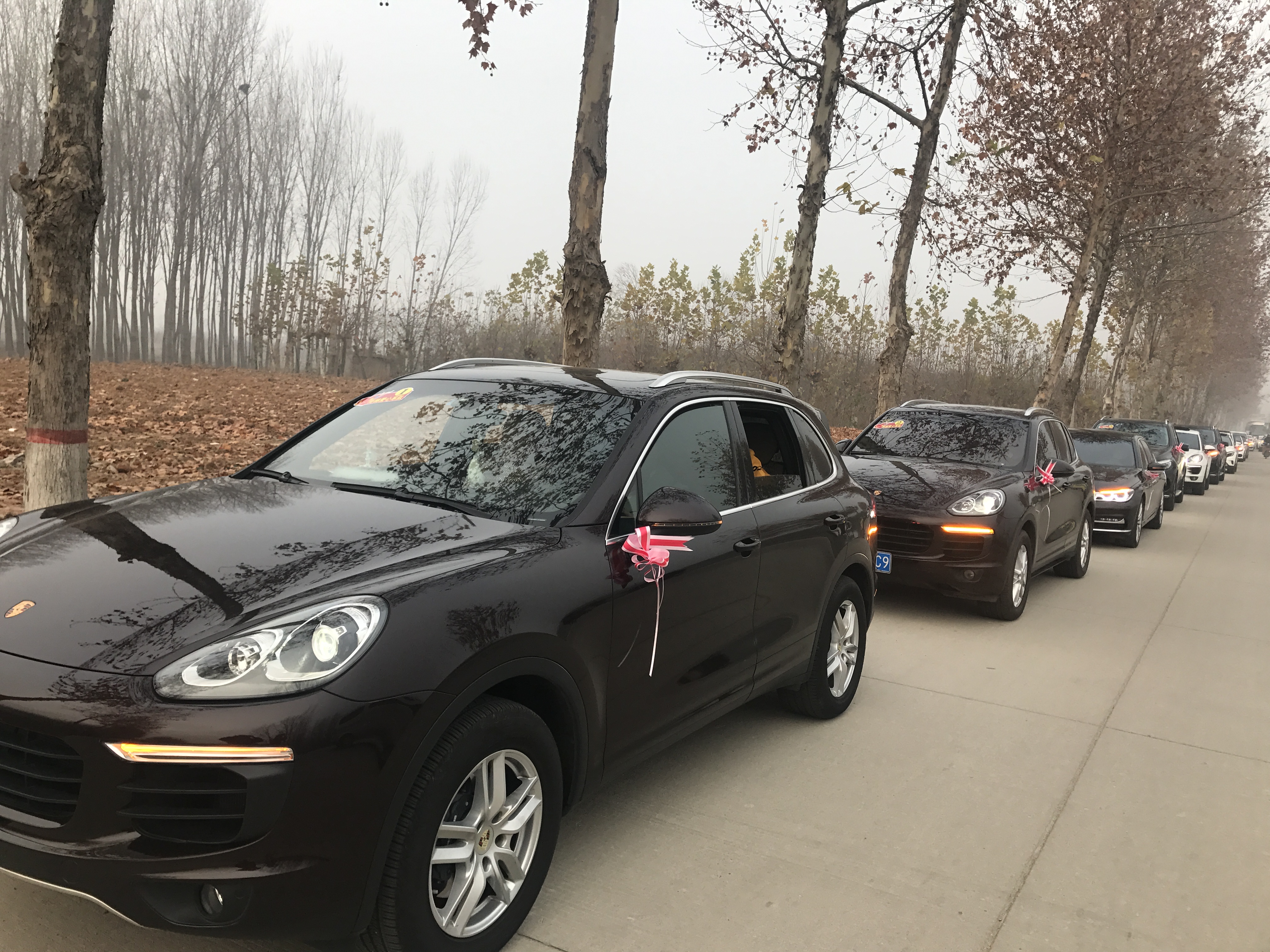 第183所 泰安市岱岳区良庄镇多宝在线平台（中国）官网李娜小学