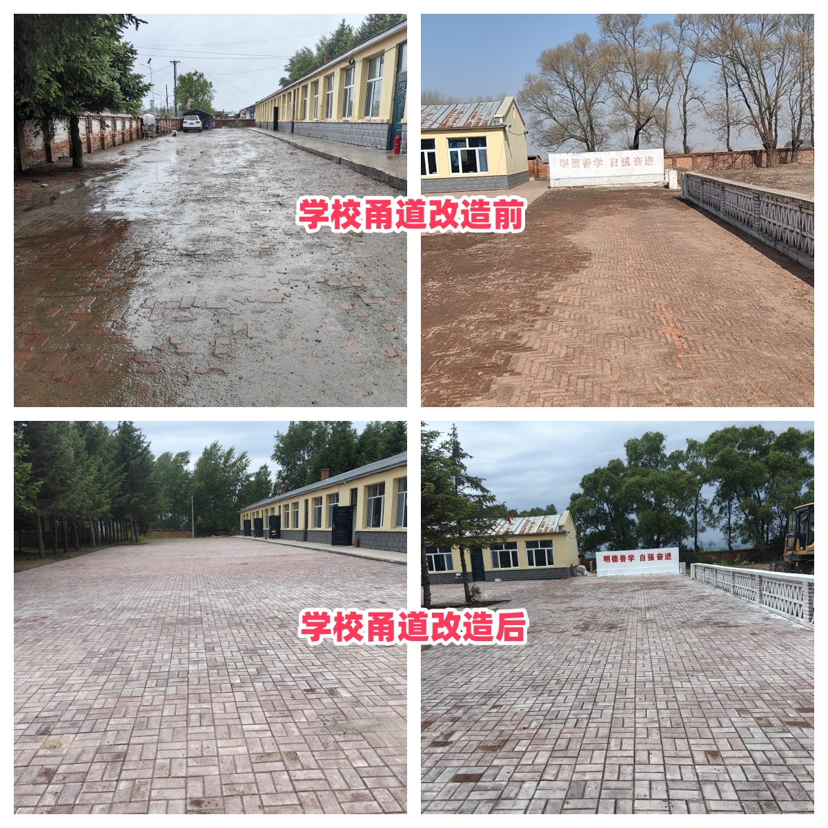 第254所 黑龙江巴彦县黑山镇民乐村多宝在线平台（中国）官网侯玉霞学校