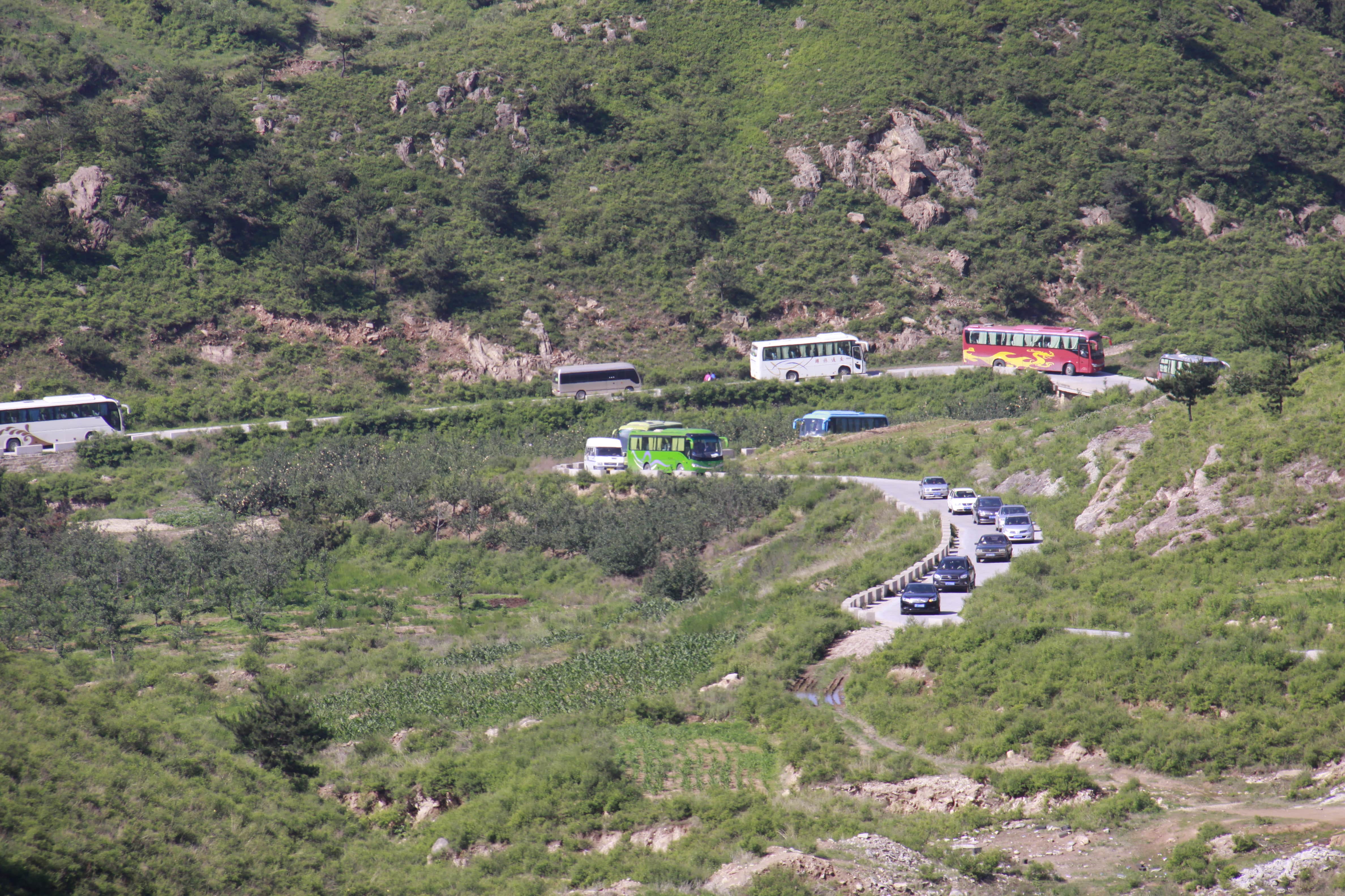 第26所 葫芦岛市永安堡乡多宝在线平台(中国)官网张越小学 第26所 葫芦岛市永安堡乡多宝在线平台(中国)官网张越小学