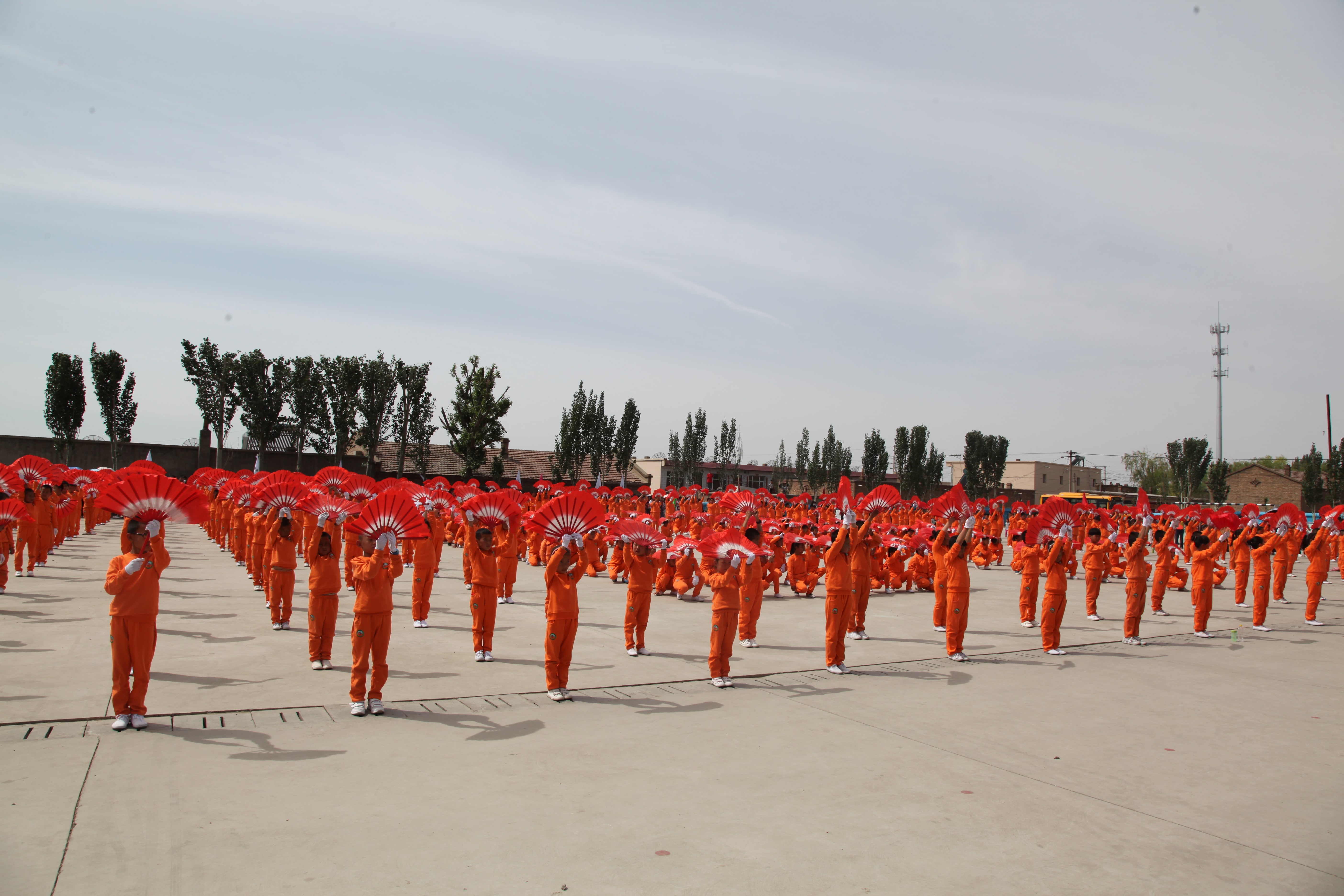 第48所 包头市九原区多宝在线平台（中国）官网董丽萍麻池中心校