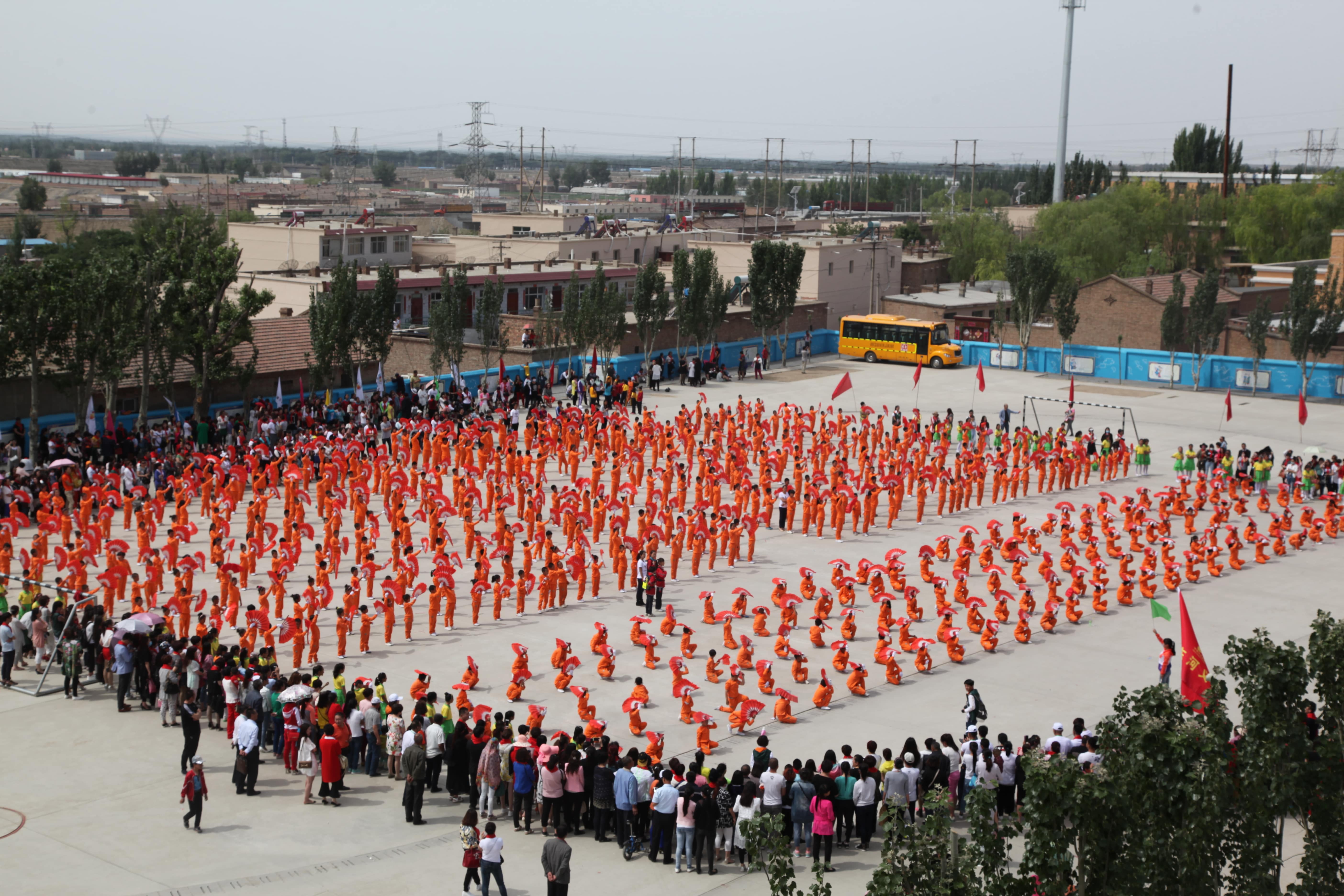 第48所 包头市九原区多宝在线平台（中国）官网董丽萍麻池中心校