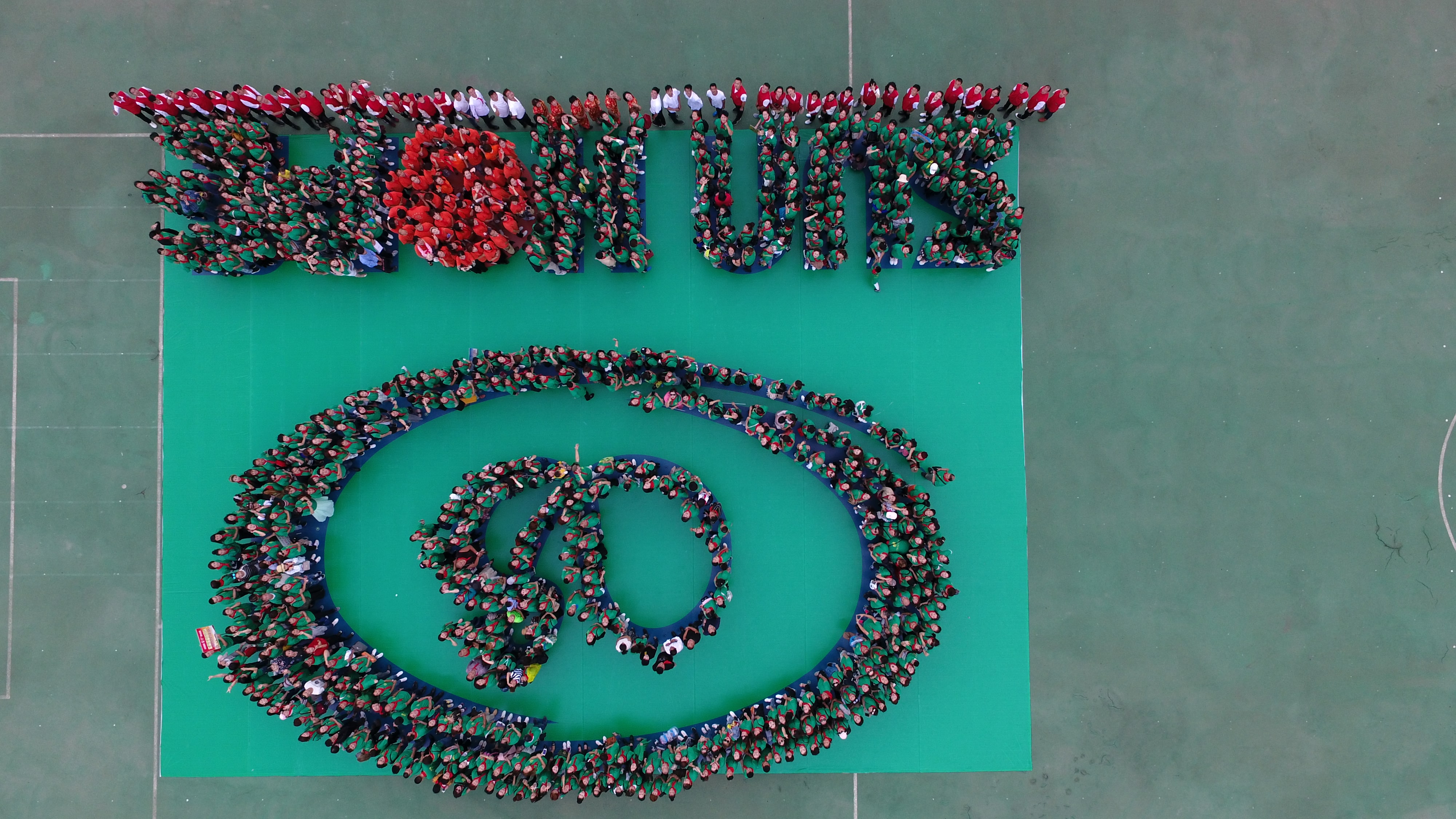 第160所 瓦房店市西杨乡多宝在线平台（中国）官网李佳燚小学