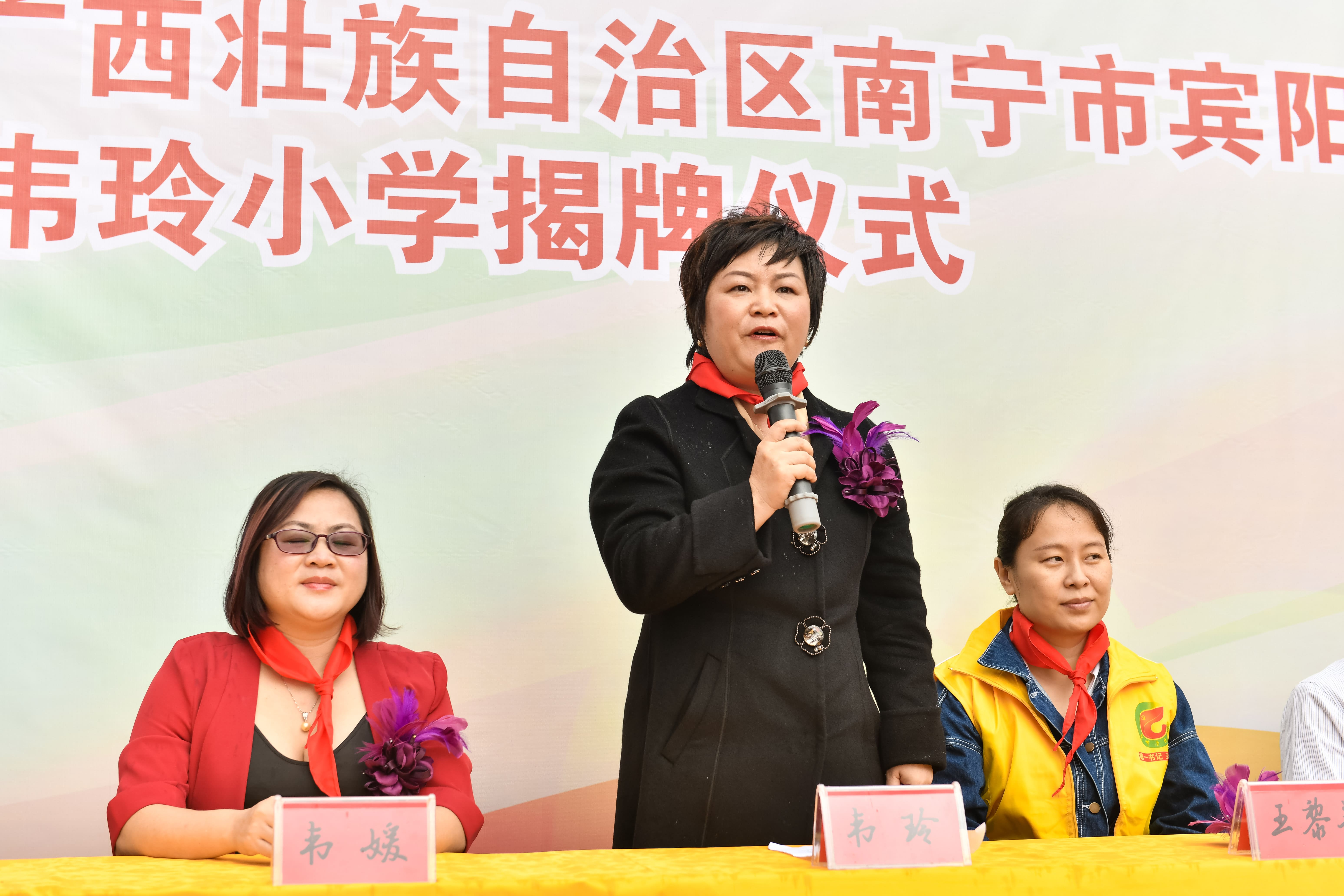 第184所  南宁市宾阳县思陇镇昆仑村多宝在线平台（中国）官网韦玲小学